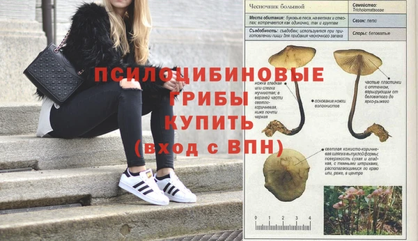 кокаин колумбия Медногорск