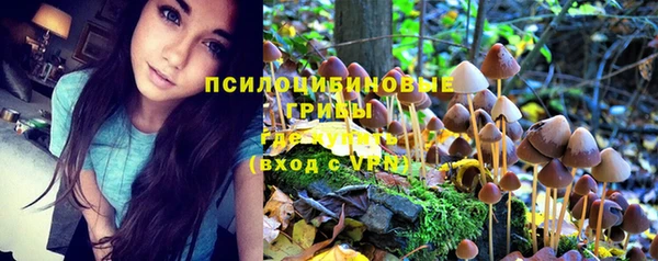 метадон Мегион