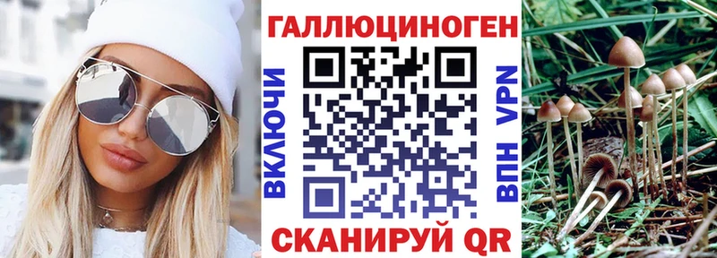 Псилоцибиновые грибы Cubensis  Купить закладки  Находка 